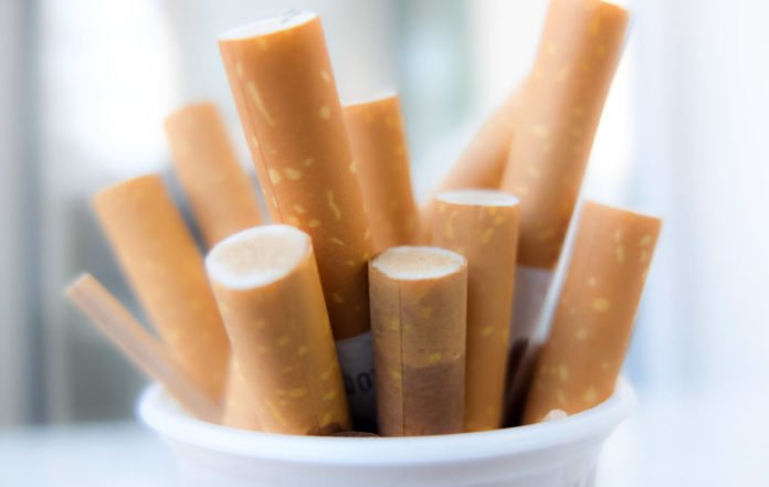 cigarro_87_bra-850x539